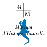 Muséum d'Histoire Naturelle de Marseille